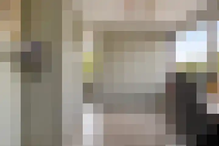 Fivelingo 225 Zoetermeer thumbnail 30