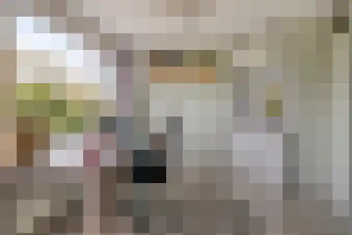 Fivelingo 225 Zoetermeer thumbnail 31