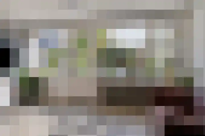 Fivelingo 225 Zoetermeer thumbnail 4