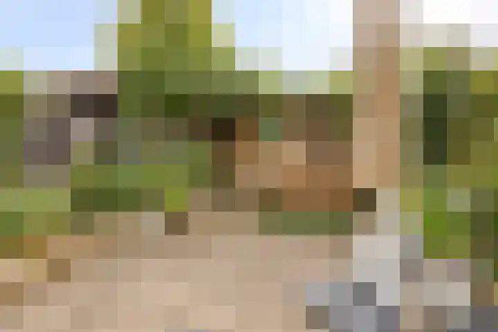 Fivelingo 225 Zoetermeer thumbnail 45