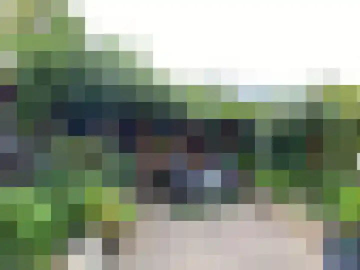 Fivelingo 225 Zoetermeer thumbnail 47