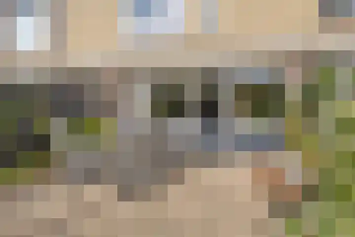 Fivelingo 225 Zoetermeer thumbnail 48