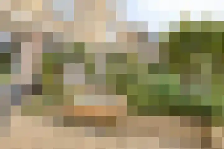 Fivelingo 225 Zoetermeer thumbnail 49