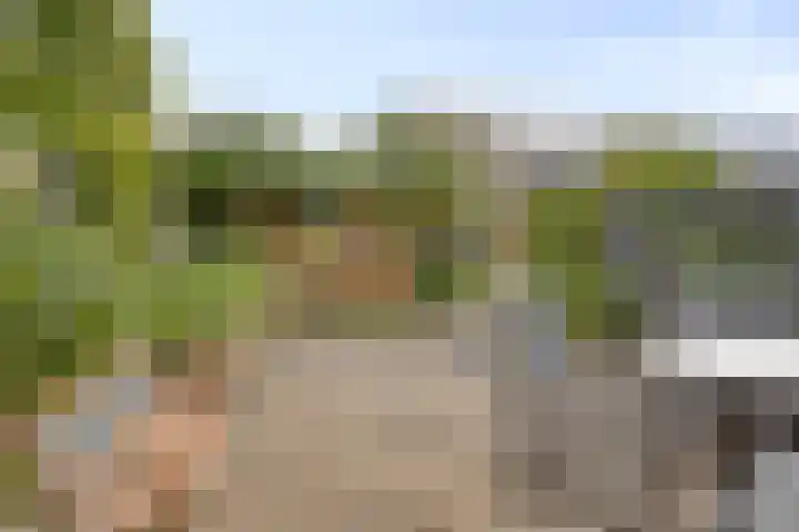 Fivelingo 225 Zoetermeer thumbnail 5