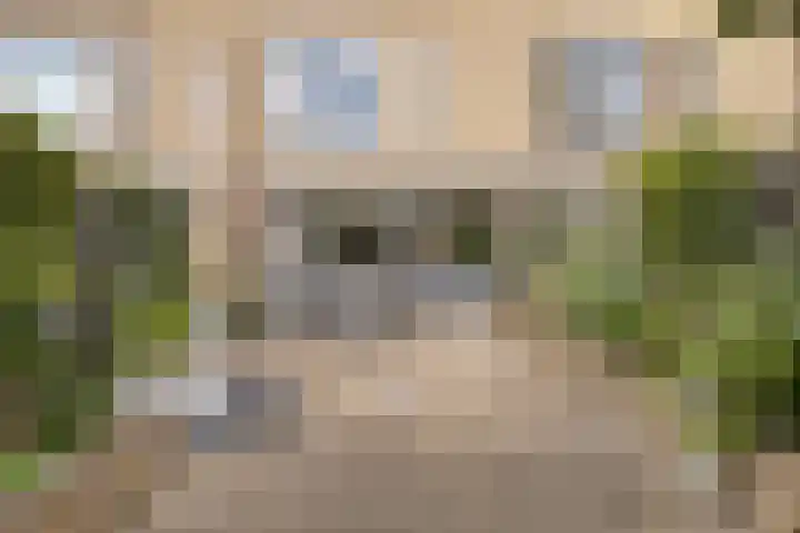 Fivelingo 225 Zoetermeer thumbnail 50
