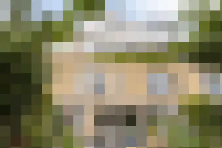 Fivelingo 225 Zoetermeer thumbnail 51
