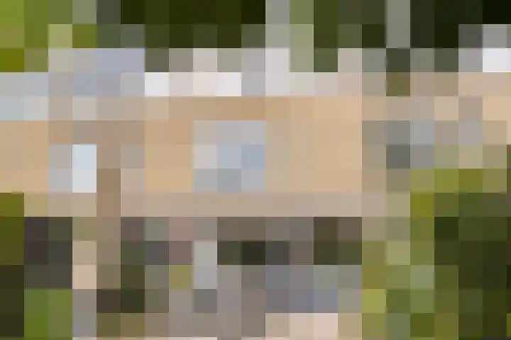 Fivelingo 225 Zoetermeer thumbnail 52