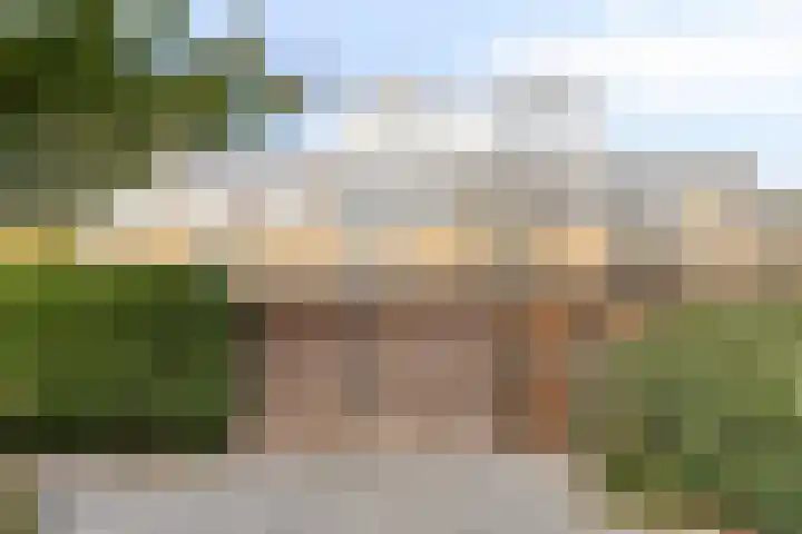 Fivelingo 225 Zoetermeer thumbnail 53