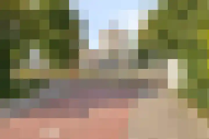 Fivelingo 225 Zoetermeer thumbnail 55
