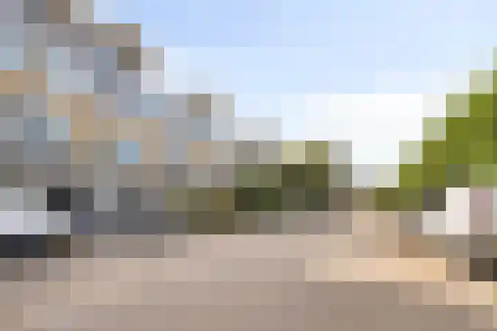 Fivelingo 225 Zoetermeer thumbnail 6