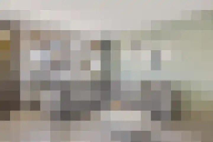 Fivelingo 235 Utrecht thumbnail 10