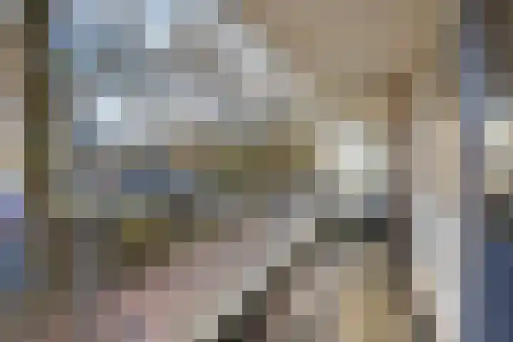 Fivelingo 235 Utrecht thumbnail 12