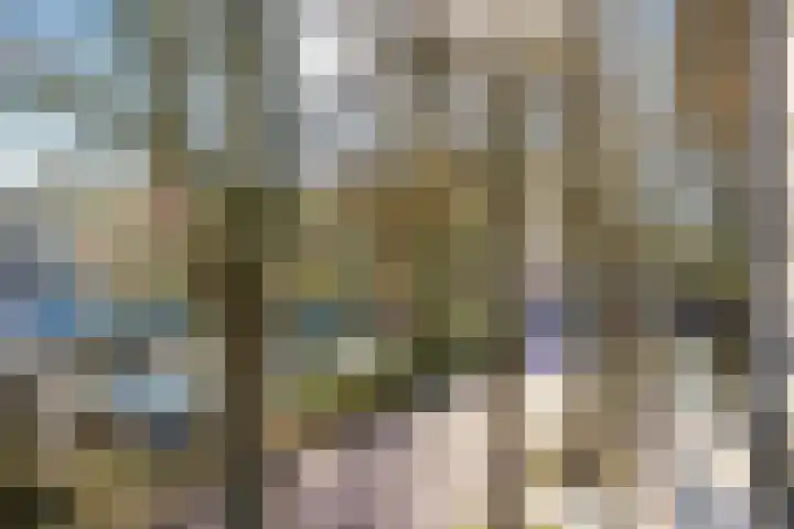 Fivelingo 235 Utrecht thumbnail 13