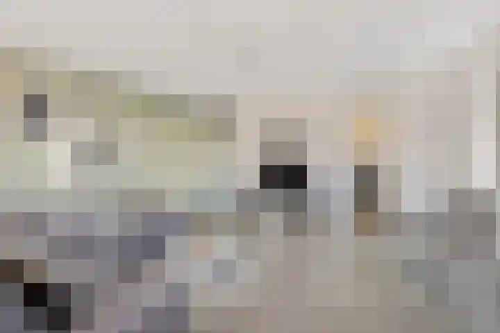 Fivelingo 235 Utrecht thumbnail 16