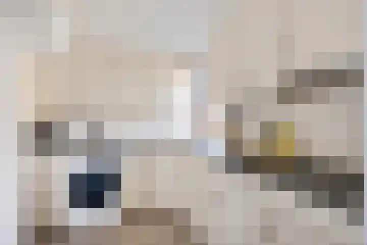 Fivelingo 235 Utrecht thumbnail 18