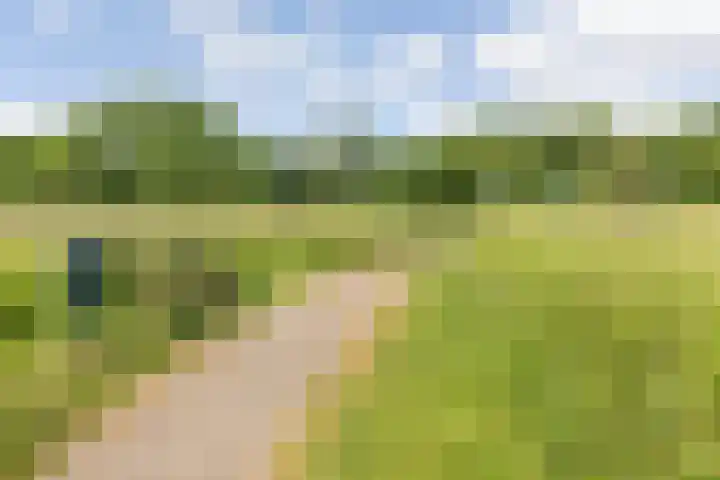 Fivelingo 235 Utrecht thumbnail 33