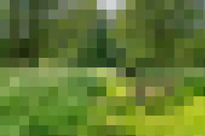 Fivelingo 235 Utrecht thumbnail 34