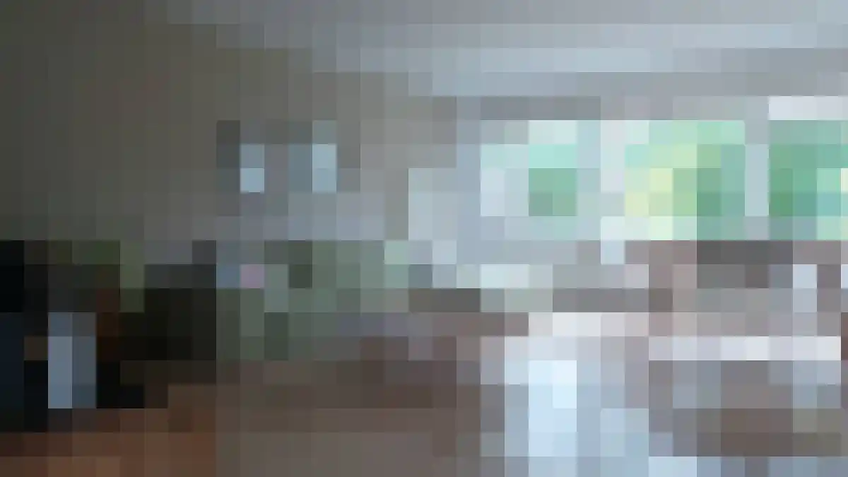 Fivelingo 241 Utrecht thumbnail 6