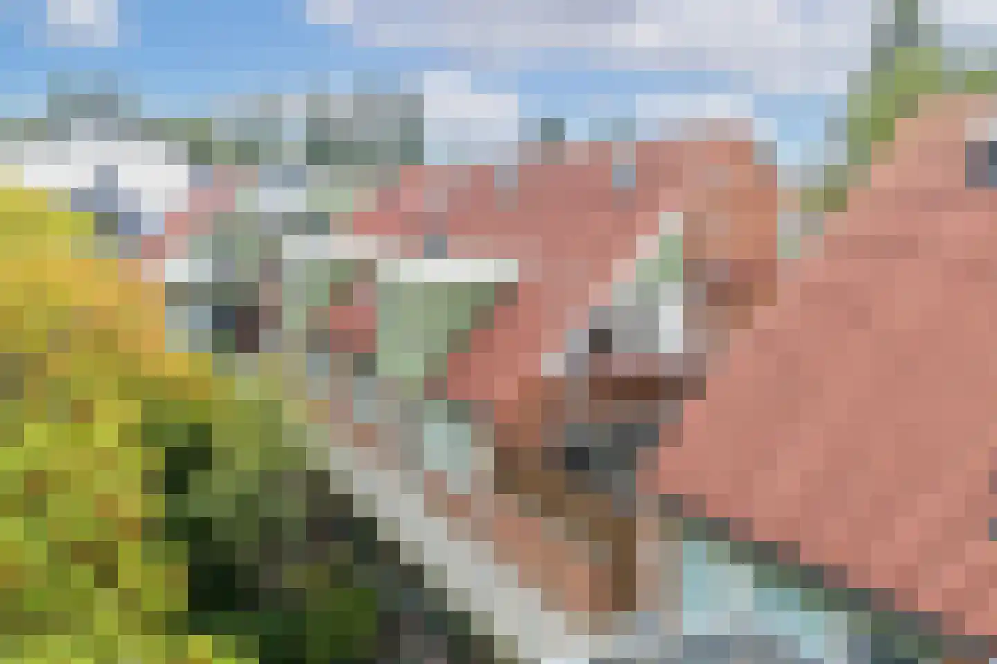 Fivelingo 245 Utrecht thumbnail 31