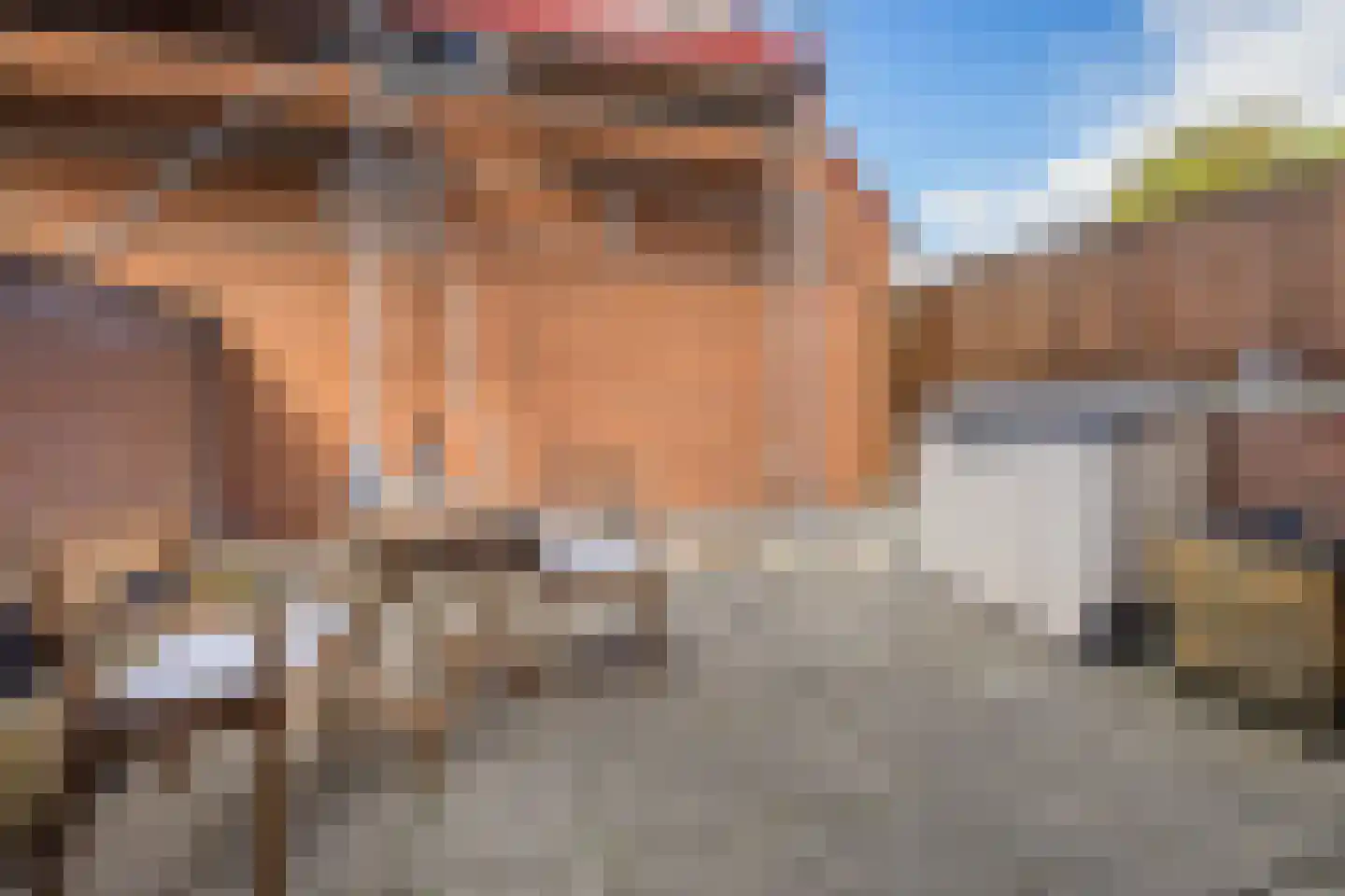 Fivelingo 247 Utrecht thumbnail 21