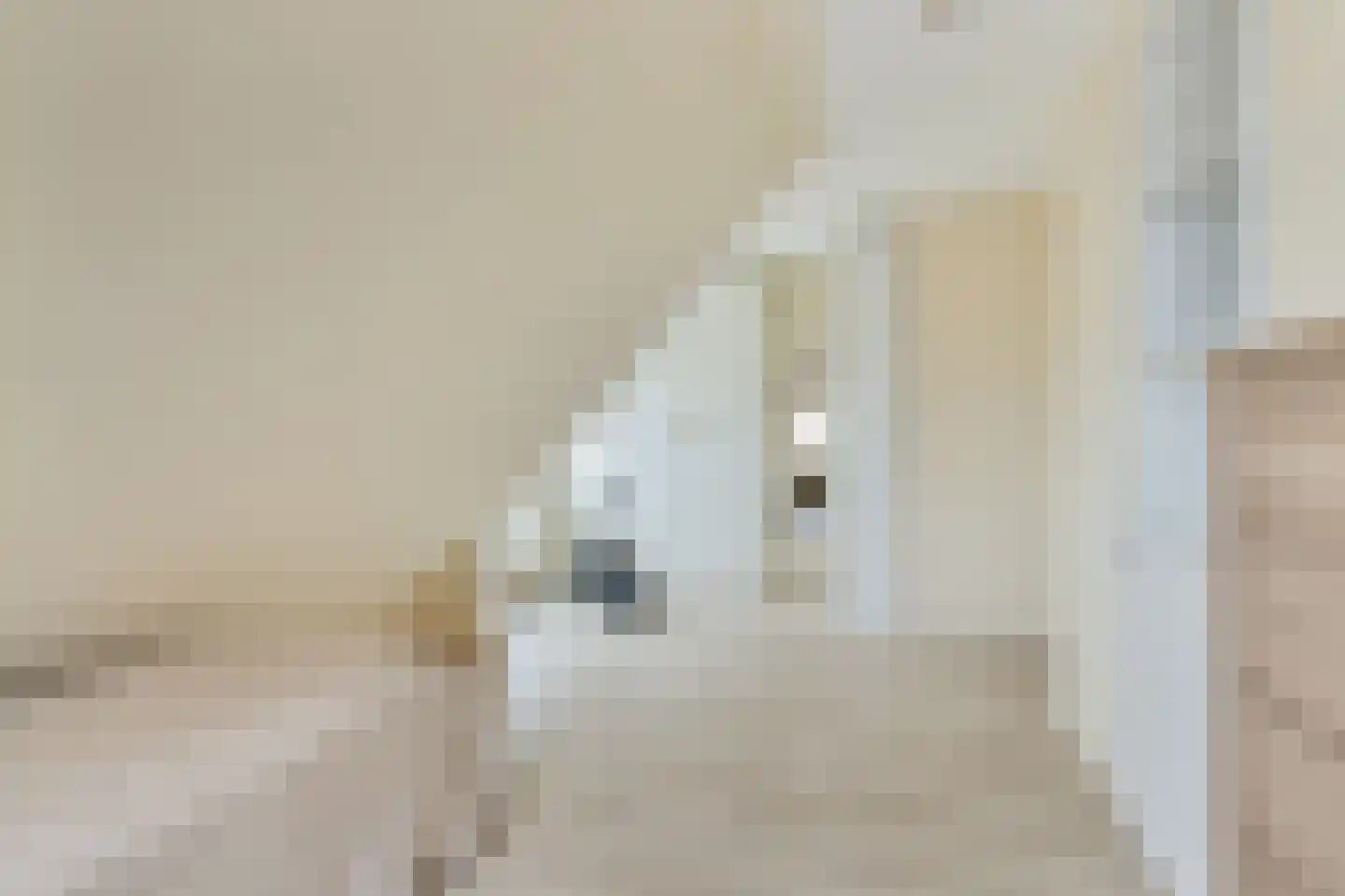 Fivelingo 247 Utrecht thumbnail 32