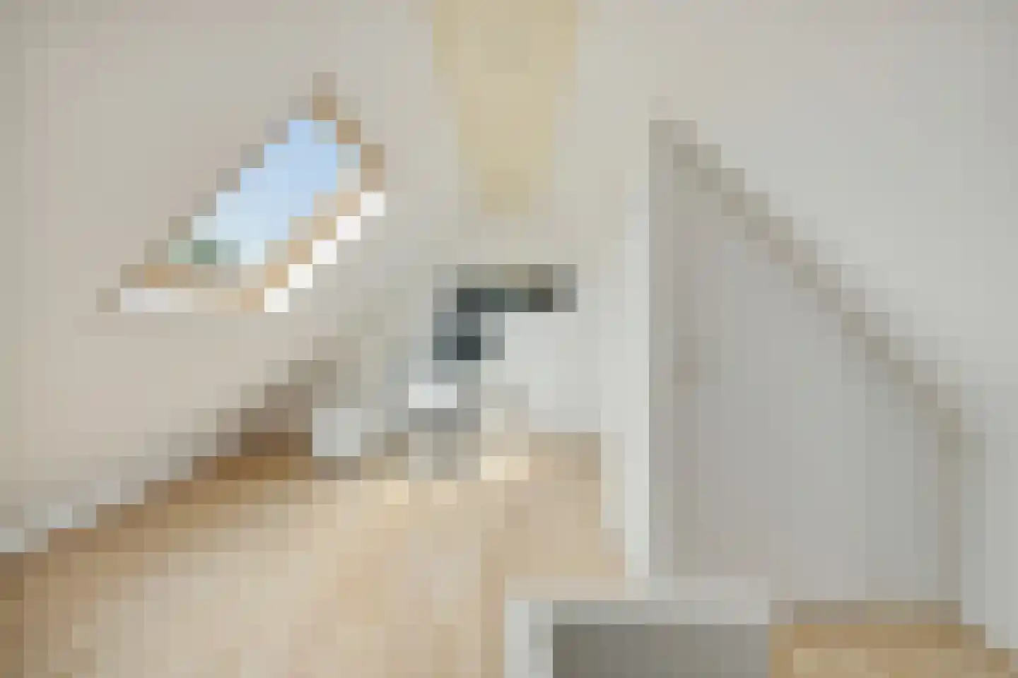 Fivelingo 247 Utrecht thumbnail 33