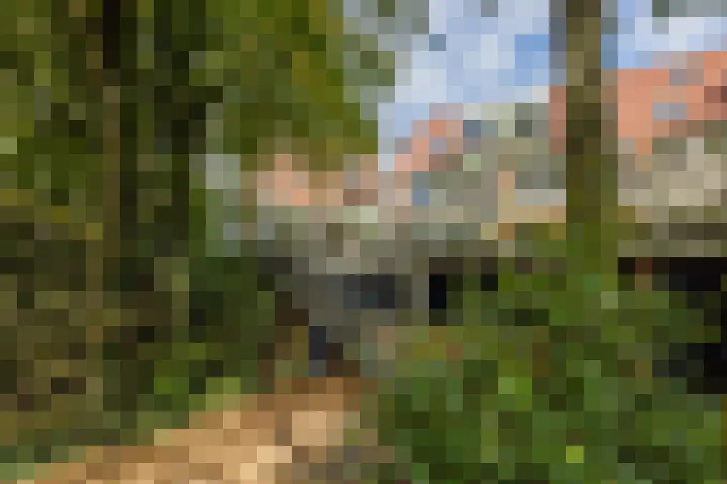 Fivelingo 247 Utrecht thumbnail 36