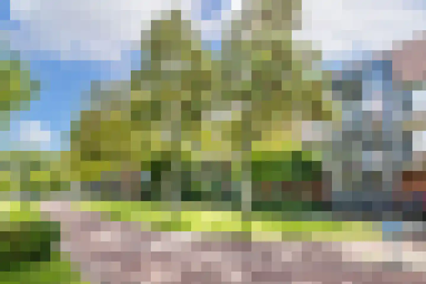 Fivelingo 247 Utrecht thumbnail 4