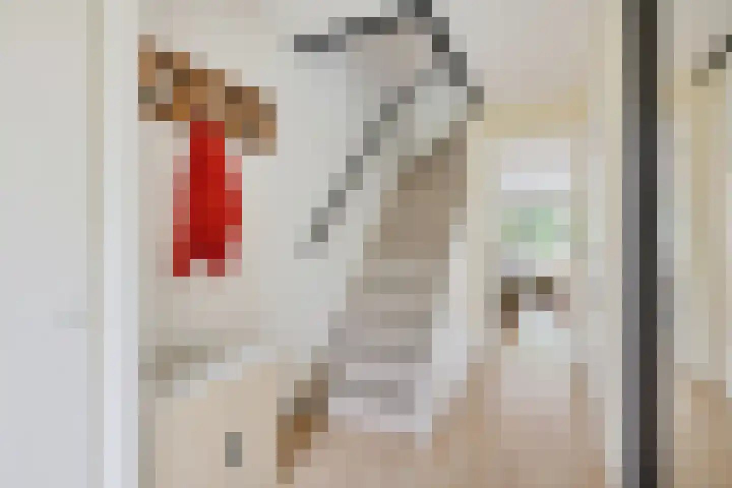 Fivelingo 247 Utrecht thumbnail 7
