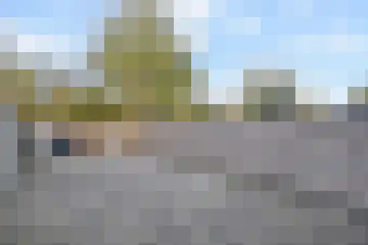 Fivelingo 42 Zoetermeer thumbnail 15