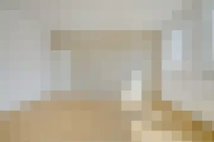 Fivelingo 42 Zoetermeer thumbnail 25