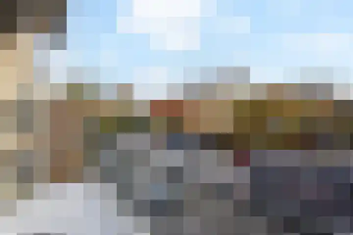Fivelingo 42 Zoetermeer thumbnail 25