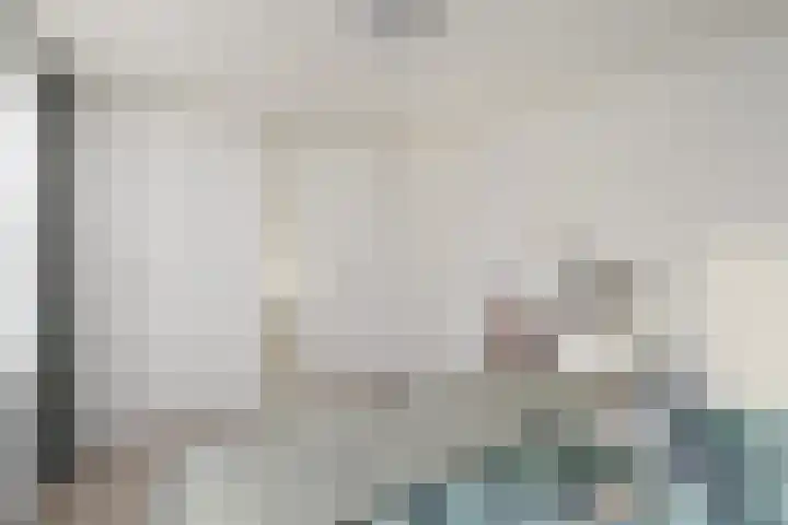 Fivelingo 42 Zoetermeer thumbnail 32