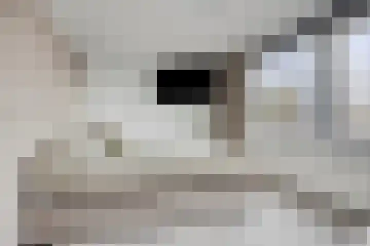 Fivelingo 44 Zoetermeer thumbnail 12