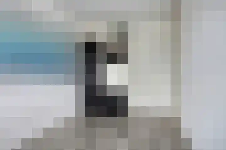Fivelingo 44 Zoetermeer thumbnail 16