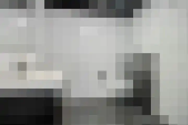 Fivelingo 44 Zoetermeer thumbnail 17