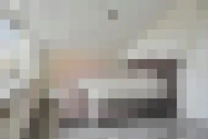 Fivelingo 44 Zoetermeer thumbnail 21