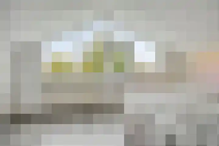 Fivelingo 44 Zoetermeer thumbnail 22