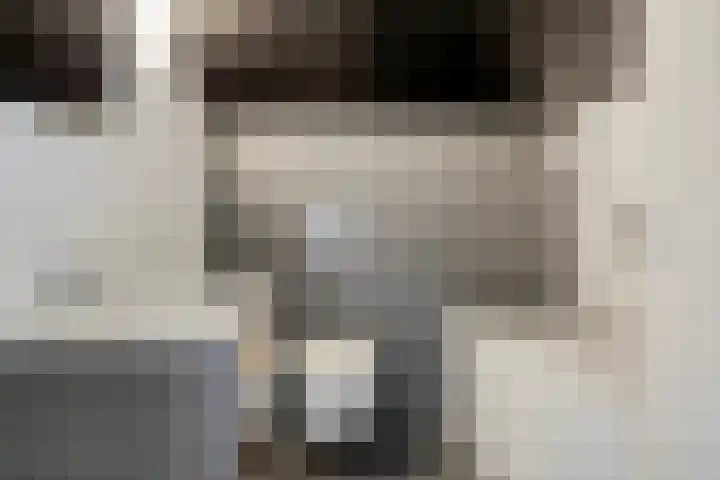 Fivelingo 44 Zoetermeer thumbnail 23