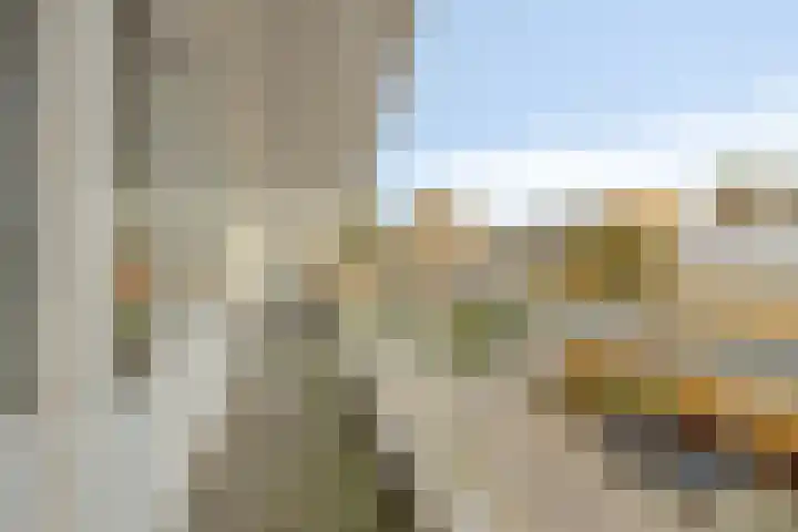 Fivelingo 44 Zoetermeer thumbnail 25