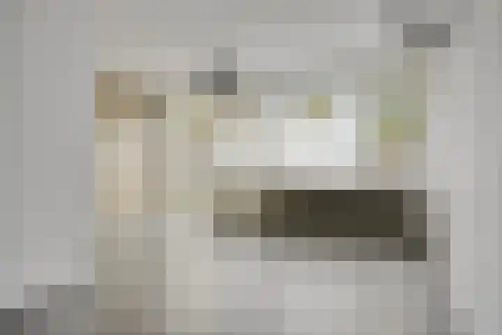 Fivelingo 44 Zoetermeer thumbnail 27