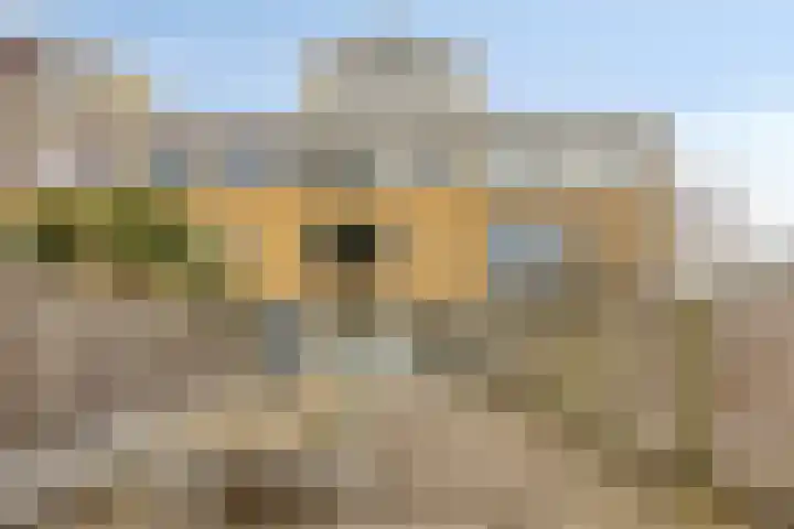 Fivelingo 44 Zoetermeer thumbnail 31