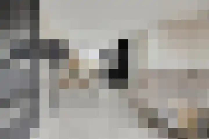 Fivelingo 44 Zoetermeer thumbnail 4