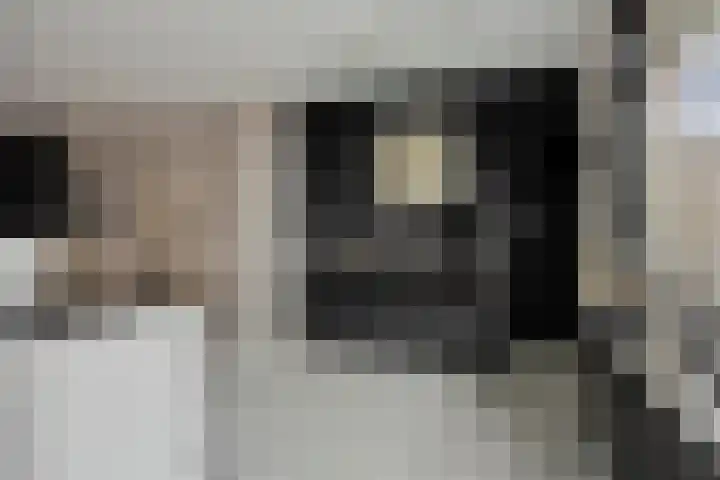 Fivelingo 44 Zoetermeer thumbnail 5