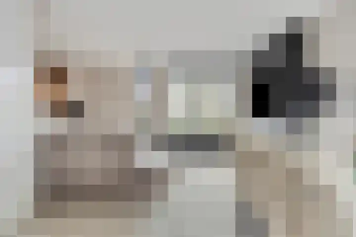 Fivelingo 44 Zoetermeer thumbnail 6