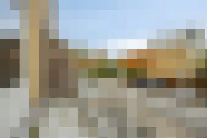 Fivelingo 44 Zoetermeer thumbnail 9