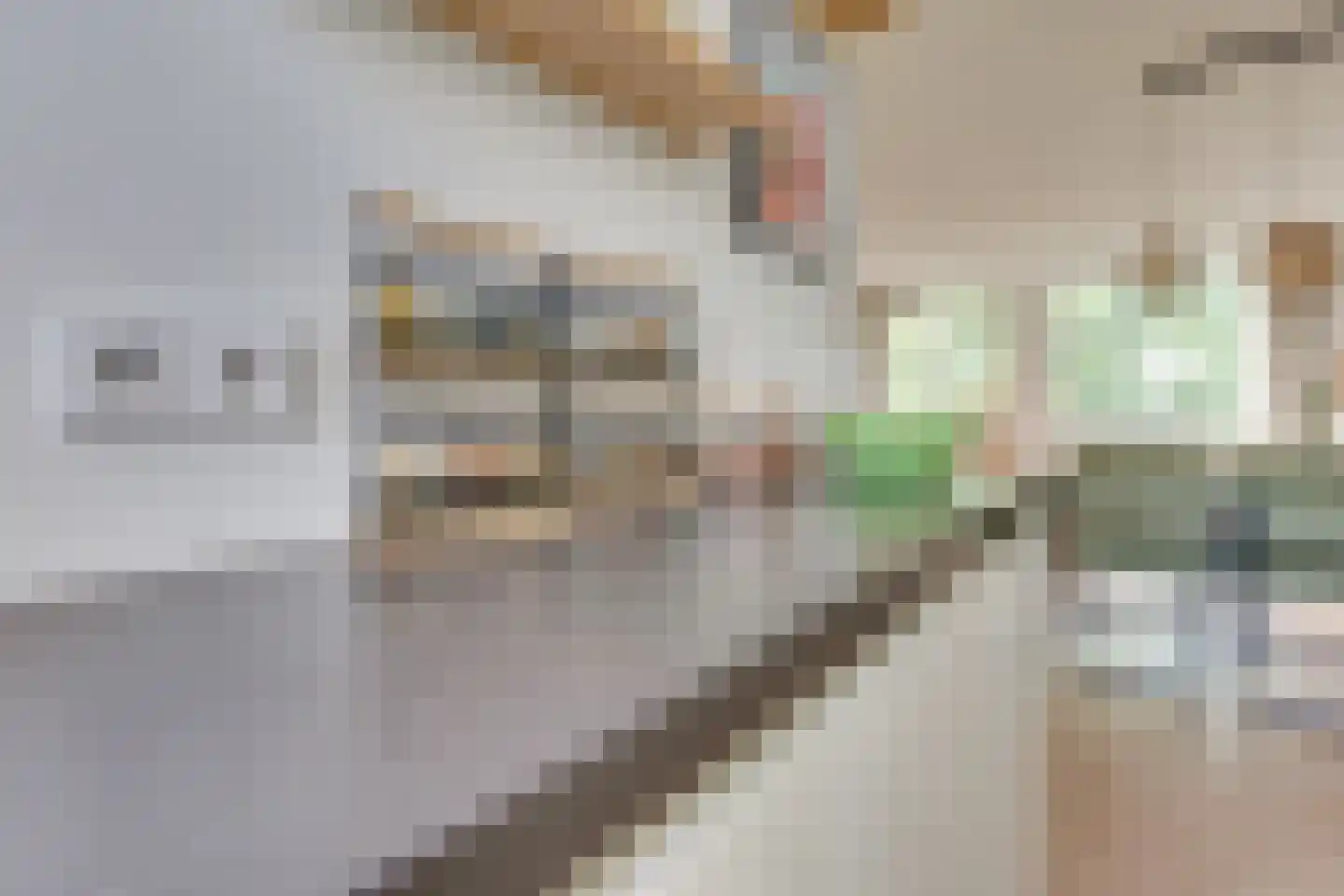 Fivelingo 61 Utrecht thumbnail 23