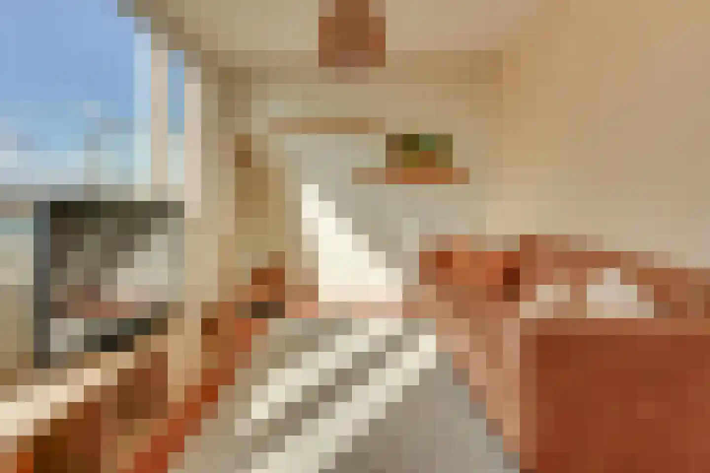 Fivelingo 61 Utrecht thumbnail 34