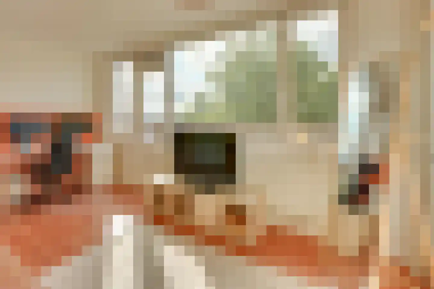 Fivelingo 61 Utrecht thumbnail 35