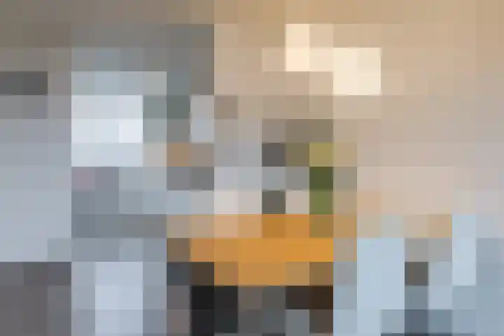 Fivelingo 69 Utrecht thumbnail 10